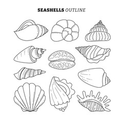 Set of Seashell or Sea Shell outline collection with line art style, Beach Aquatic Marine Ocean Animal Shellfish. Flat Style Icon Vector Illustration, flat vector illustration.