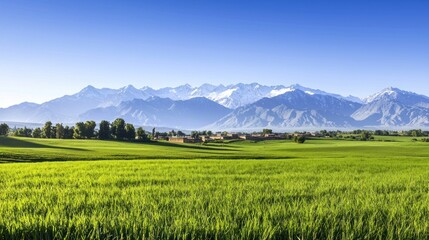 Fototapeta premium Vast Green Field with Mountain View