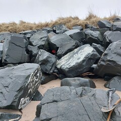 Close-up of gray rocks in the sand with dry grass in the background