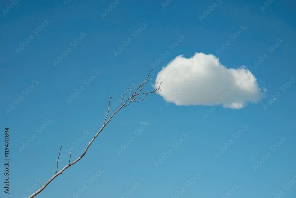 Poster a lone cloud sits atop a tree branch, waiting for its journey to begin