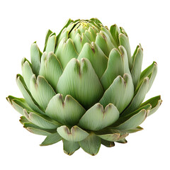 Fototapeta premium Fresh green artichoke vegetable isolated transparent background culinary ingredient healthy food