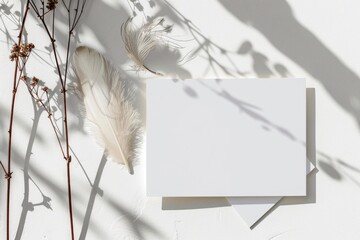 Square Frame Mockup
