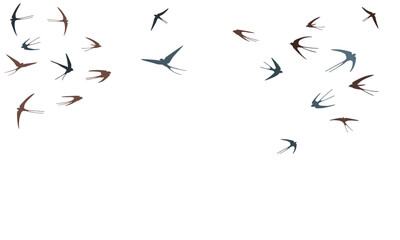 Flying swallow birds silhouettes vector illustration. Migratory martlets group isolated on white. Gliding flying swallows line art. Many birds in sky graphic design. Wildlife concept.