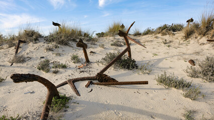 Praia do Barril, Tavira, Alarve, Portugal