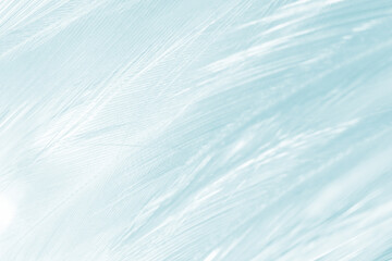 Beautiful green turquoise vintage color trends feather pattern texture background