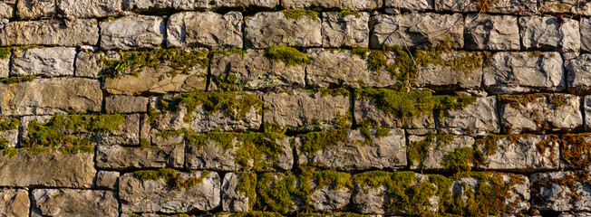 Old Stone Wall Overgrown with Moss in Natural Outdoor Setting