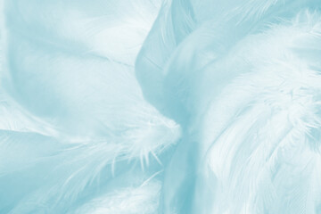Beautiful  blue turquoise vintage color trends feather pattern texture pastel background