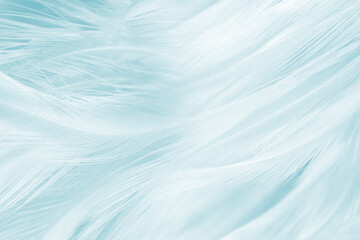 Beautiful  blue turquoise vintage color trends feather pattern texture pastel background