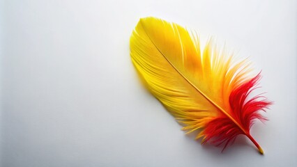 Single vibrant feather, yellow to red gradient, soft light background