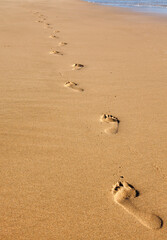 Footprints on the beach
