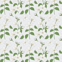 Colorful Floral Pattern with Leaves, Cute Small Flowers on Seamless Background, Jasmine Flower Pattern