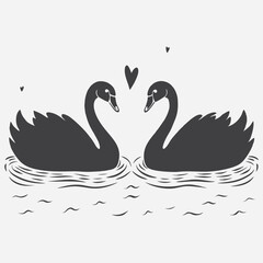 Fototapeta premium Black silhouette Swans family - parents and baby birds. Vector Hand Drawn Illustration Isolated On Transparent Background