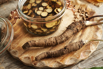 Preparing homemade herbal tincture from fresh burdock root in a glass jar