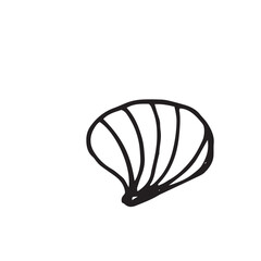 shell mollusk sea ocean black and white vector illustration composition doodle isolated on white background base for postcard design typography texstil