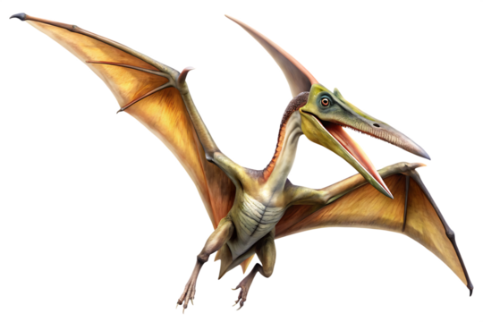 Pterodactyl Dinosaur Illustration with Outstretched Wings isolated on white background as transparent. PNG.AI GENERATED