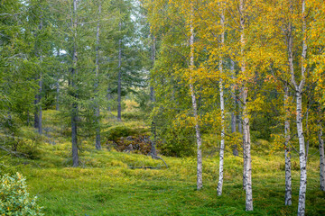 Hallormsstaðaskógur, a vast and lush forest area near Egilsstaðir, is renowned as Iceland’s...