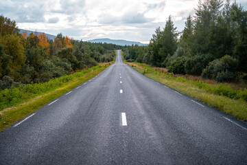 A serene view of Hallormsstaðaskógur, Iceland’s largest forest, located in the scenic eastern region near Egilsstaðir