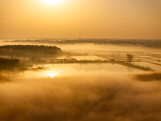 Sunrise and fog in rural forest