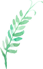 Vector Watercolor painted flower leaf Hand drawn flower design element isolated on white background