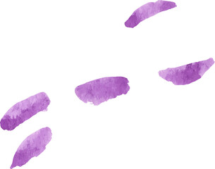 Watercolor painted carnation flower petals Hand drawn design element isolated on white background.