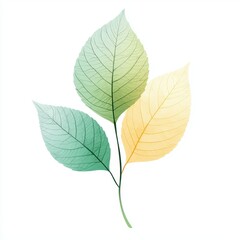 Fototapeta premium Abstract Branch with Green and Yellow Minimalist Leaves in Modern Botanical Design
