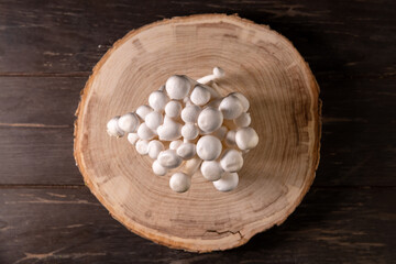 Closeup of a bunch of shimeji mushrooms on wooden background, with selective focus