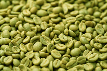 Green coffee close-up. Global increase in coffee prices.
