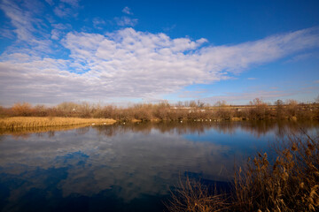 landscape with the sky reflected in a river