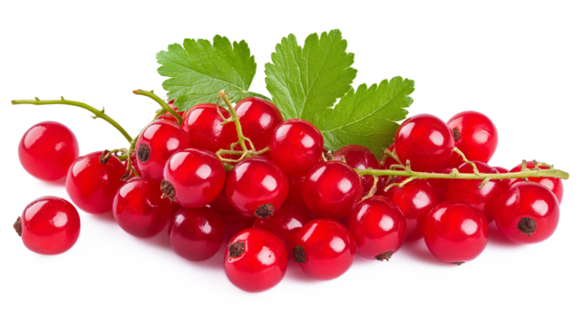 Red currant isolated on a white background