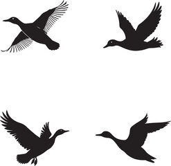 Silhouette set of  black Ducks in Flight sign vector illustration with white background