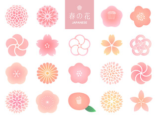 日本の春の花アイコンセット