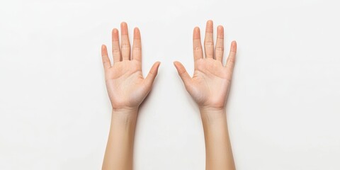 Hands positioned palms up on a clean white background, showcasing eight fingers with soft skin tones reflecting natural lighting and gentle shadowing.