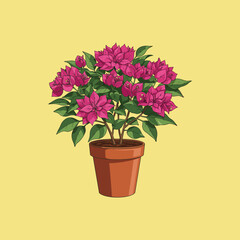 A vibrant illustration of a pink bougainvillea plant potted in a terracotta pot against a yellow background.