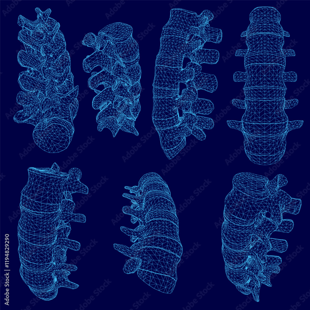 Poster series of blue images of a spine. the spine is shown in different positions and angles. the spine is