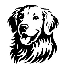 Golden Retriever head