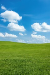 Obraz premium A large, open field with a blue sky and fluffy clouds. The sky is clear and bright, and the clouds are scattered throughout the sky. The field is lush and green, and the grass is tall and healthy