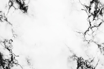 Obraz premium Black and White Lines Background with Liquid Marble Texture and Ink Swirl Edges, Abstract, Modern, Minimalist, Artistic, Elegant