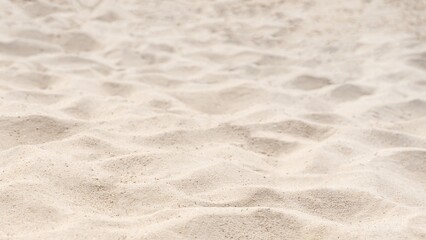 Dune in Sand Surface