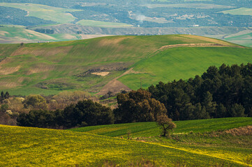 Matera province: spring countryside landscape 