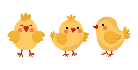 A set of cute yellow cute chickens in different poses Vector illustration on the theme of Easter, farm, pets, children's education Isolated on a white background