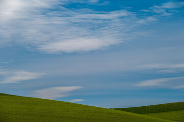 Matera province: spring countryside landscape 