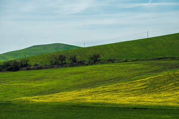 Matera province: spring countryside landscape 