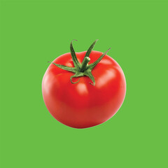 tomatoes on a vine green screen background Art & Illustration