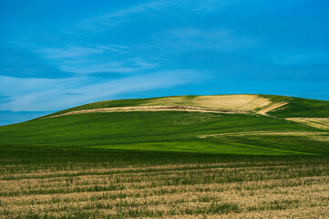 Obraz premium Matera province: spring countryside landscape 