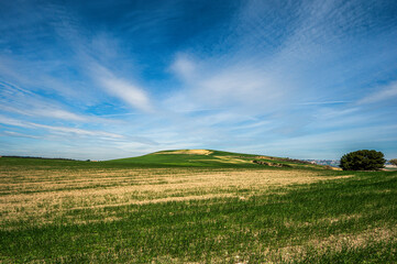 Matera province: spring countryside landscape 
