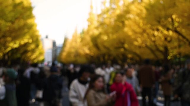 Blurred crowd walking in slow motion outdoor during autumn under Ginkgo trees with yellow leaves on Jingu Gaien Avenue in Tokyo in Japan with copy space.