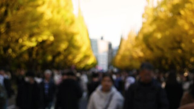 People, slow motion and unfocused blurry crowd of tourist walking in the street of Jingu Gaien Ginkgo Avenue with golden trees with yellow leaves outdoor in Tokyo city during autumn in fall in Japan.