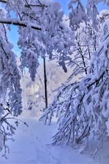 Zimowa podr&oacute;ż zaśnieżoną drogą pod błękitnym niebem