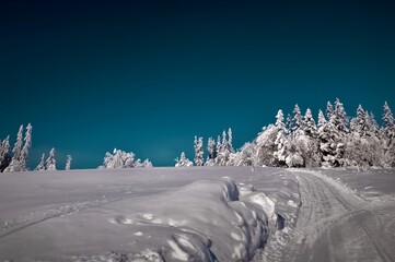 Zimowa podróż zaśnieżoną drogą pod błękitnym niebem © Oliwia