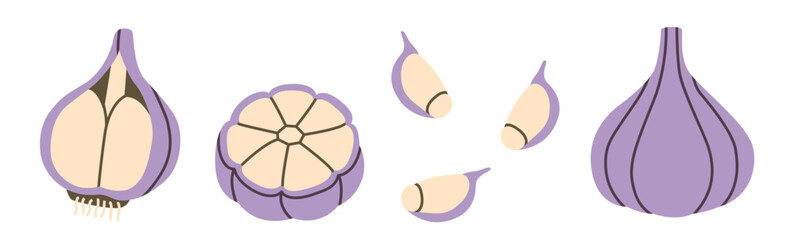 Flat-style illustration of garlic in different perspectives, including whole bulbs, cross-sections, and individual cloves. Perfect for culinary designs, recipe layouts, and healthy food concepts.